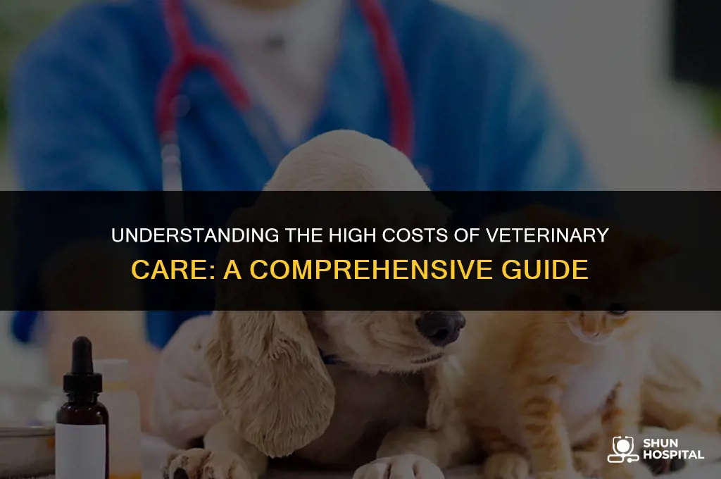 why are animal hospitals so expensive