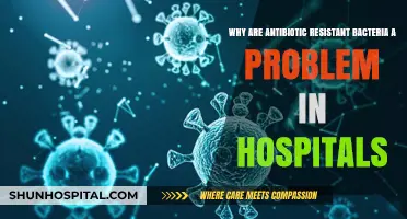 Antibiotic-Resistant Bacteria: A Growing Hospital Crisis Explained