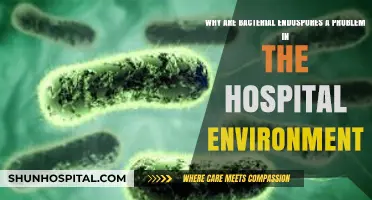 Bacterial Endospores: Persistent Hospital Contaminants Threatening Patient Safety