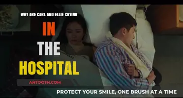Carl and Ellie's Heartbreaking Hospital Scene: Unraveling Up's Emotional Moment