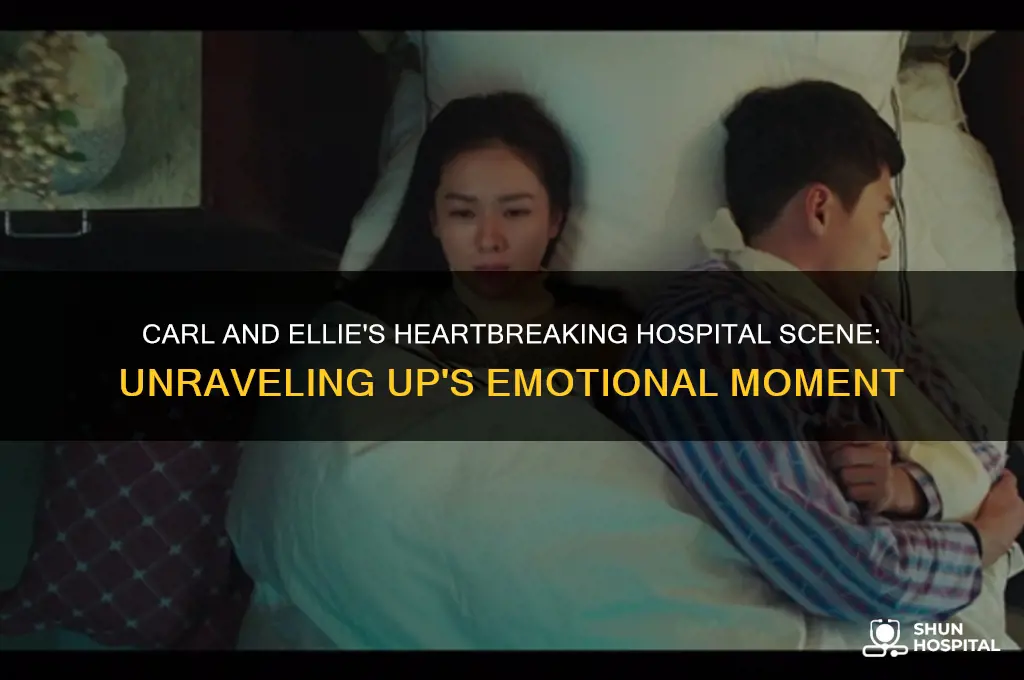 why are carl and ellie crying in the hospital