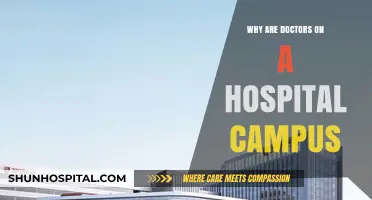 Hospital Doctors: On-Site Care and Collaboration