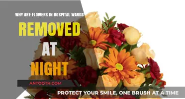 Nighttime Bloom Ban: Why Hospitals Remove Flowers After Dark
