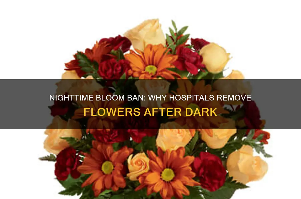 why are flowers in hospital wards removed at night