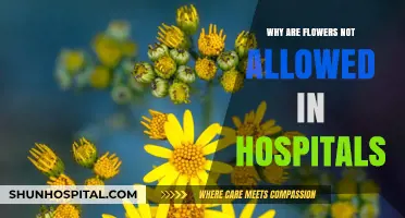 Flowers Banned in Hospitals: Allergies and Bacteria