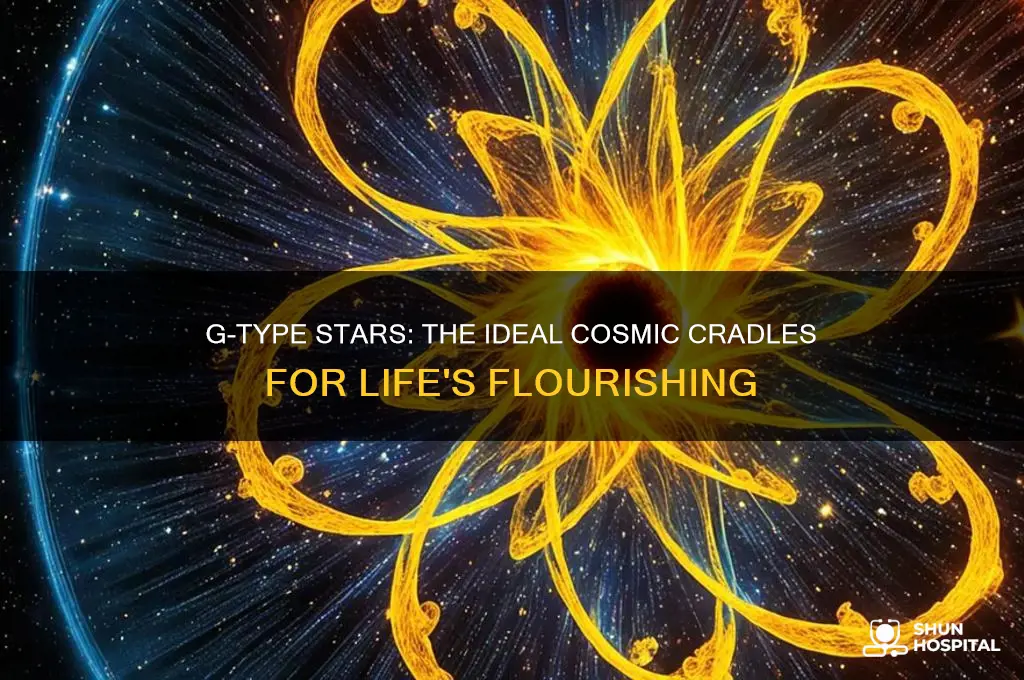 why are g type stars most hospitable to life