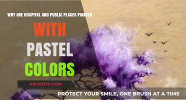 Pastel Palettes: The Psychology Behind Hospital and Public Space Colors