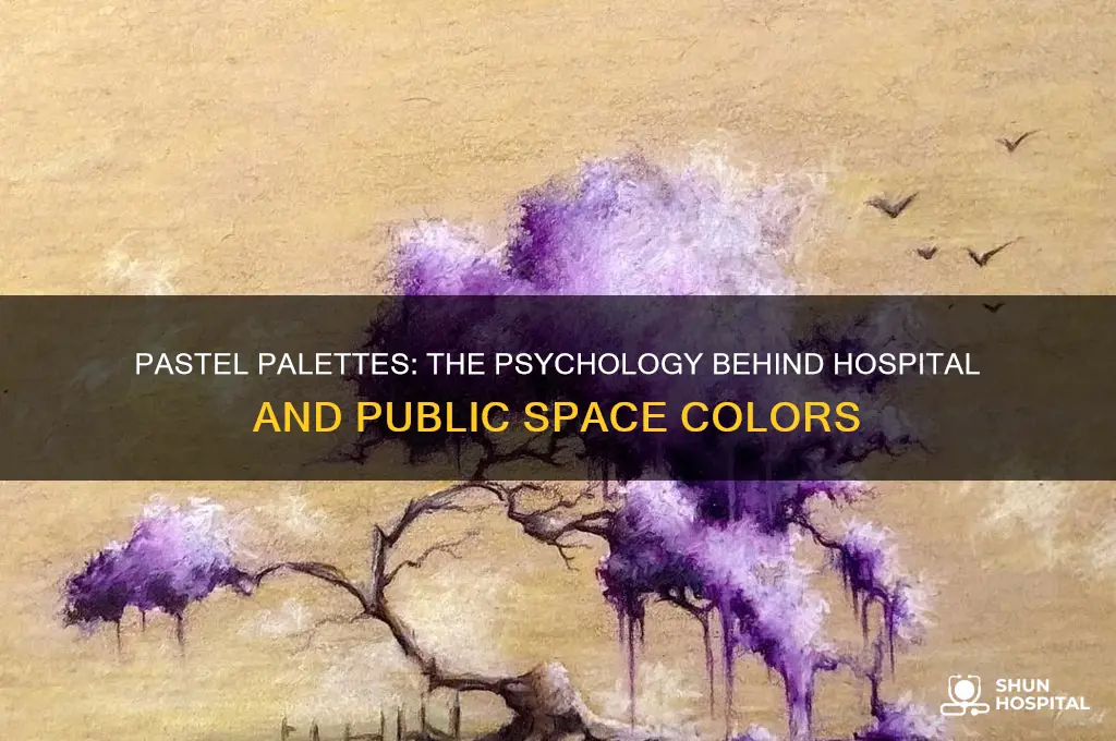 why are hospital and public places painted with pastel colors