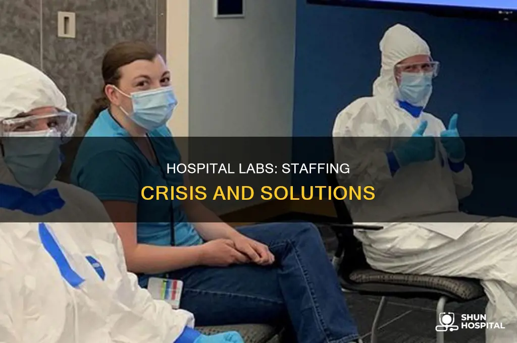 why are hospital laboratories staffed so short