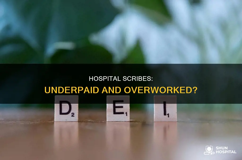 why are hospital scribes paid so little