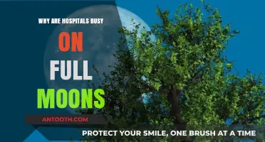 Lunacy and ERs: Is There a Full Moon Connection?