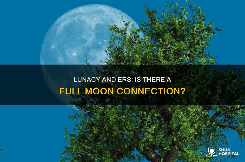 why are hospitals busy on full moons