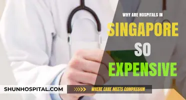 Singapore's Healthcare: Why Are Hospitals So Expensive?