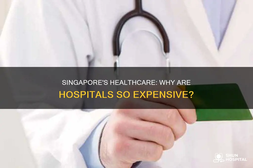 why are hospitals in singapore so expensive