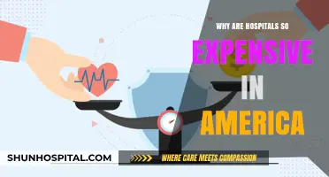 The High Cost of American Hospitals: Why So Expensive?