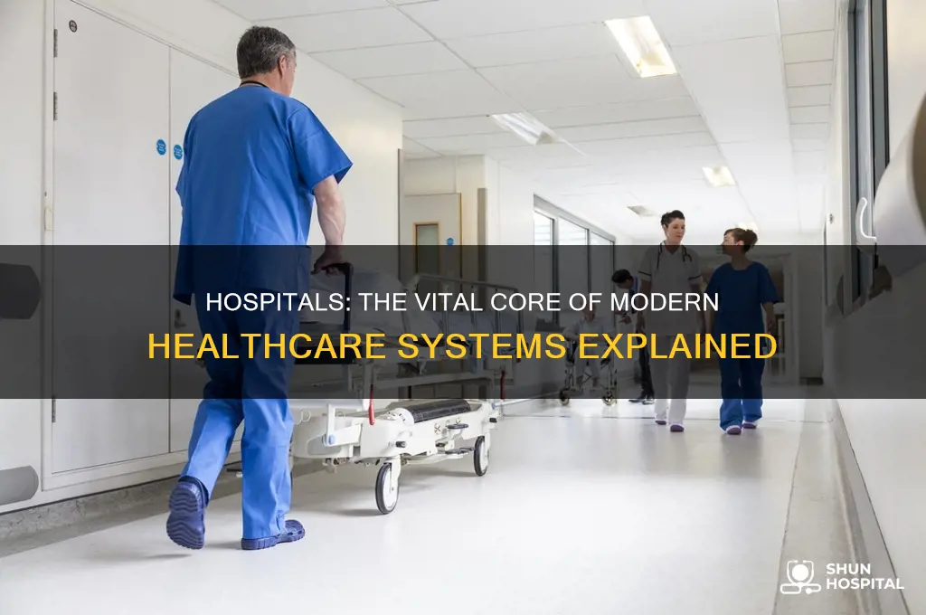 why are hospitals the centerpiece of our healthcare system