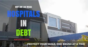Las Vegas Hospitals: Financial Crisis and Debt Causes