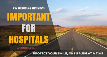 Mission Statements: Hospitals' Guiding Lights