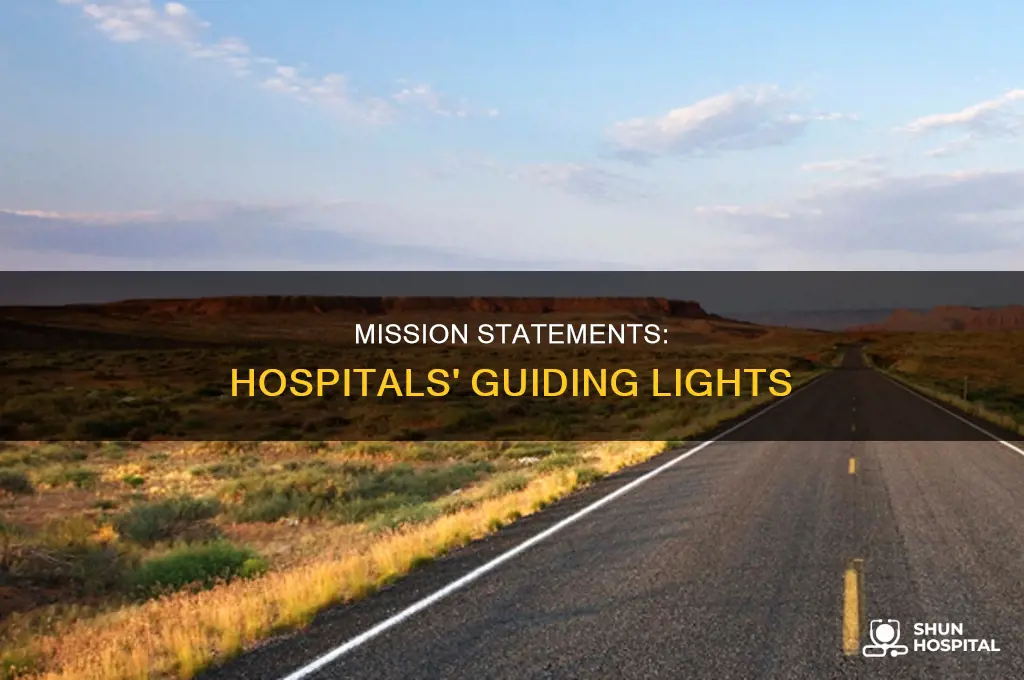 why are mission statements important for hospitals