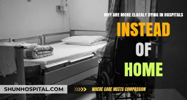 Elderly Deaths in Hospitals: Trends, Causes, and Home Care Challenges