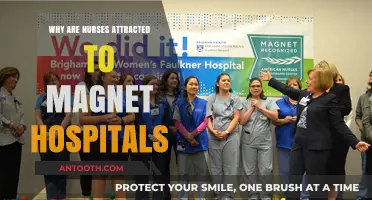 Magnet Hospitals: Why Nurses Are Drawn to Them