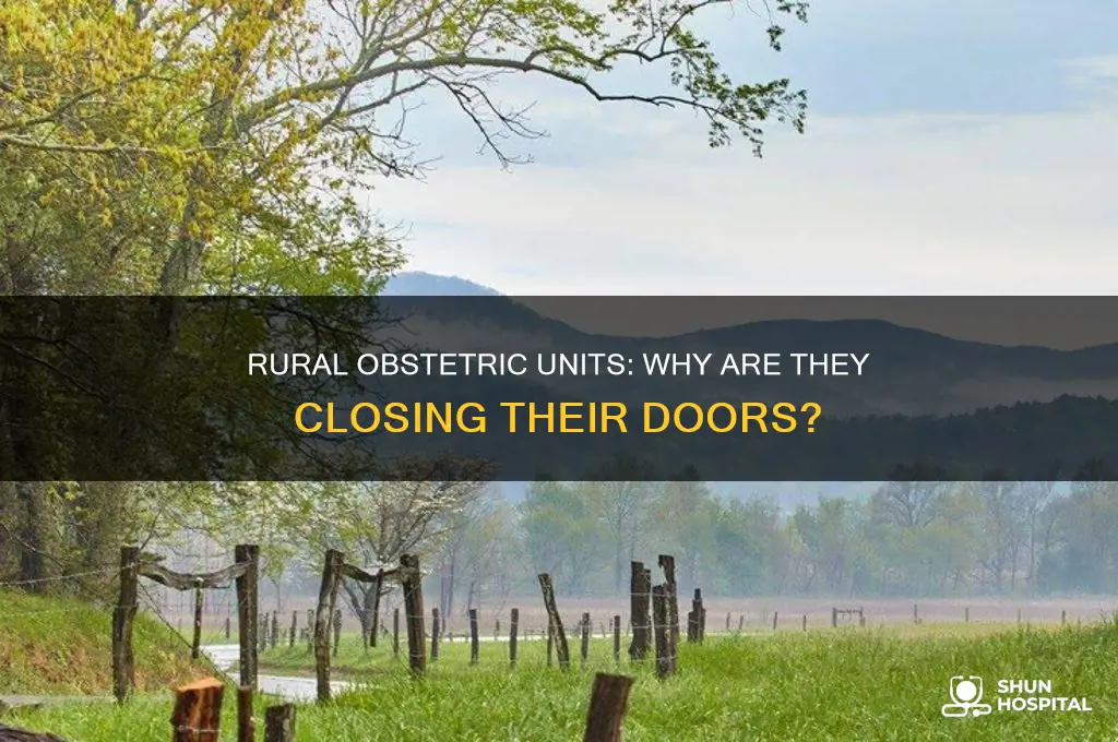 why are obstetric units in rural hospitals closing their doors