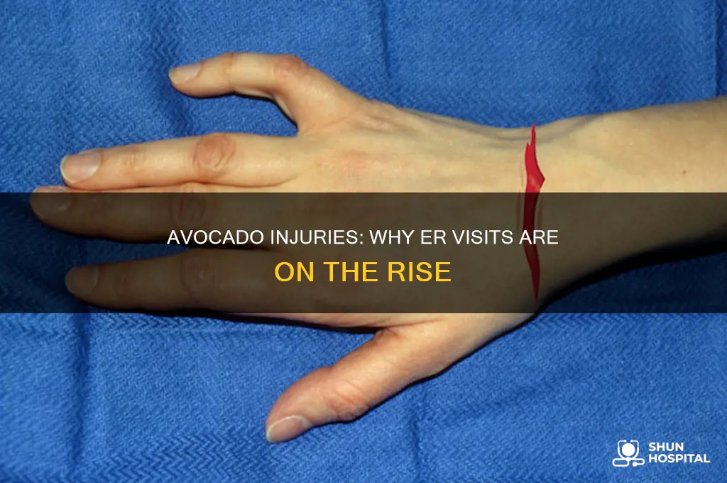 why are people being sent to the hospital from avocados