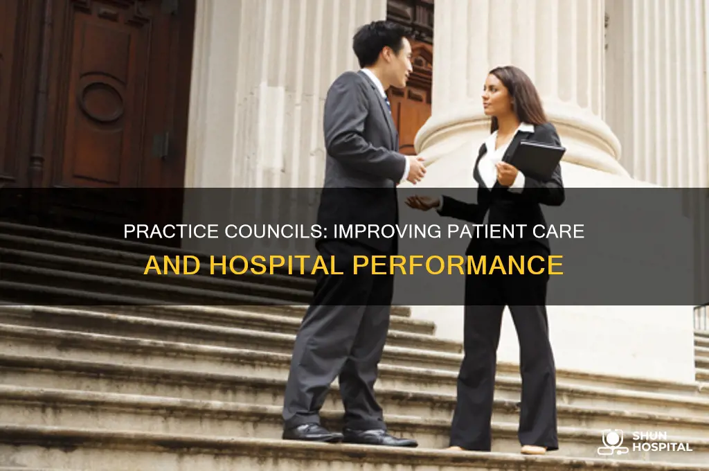 why are practice councils important in hospitals