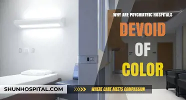 The Sterile Walls of Psychiatric Hospitals: A Colorless Environment