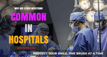 Staph Infections: Hospitals' Common and Persistent Problem