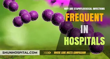 Staph Infections: A Common Hospital Menace