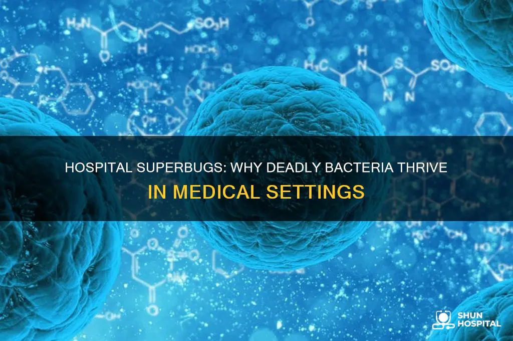 why are superbug strains of bacteria commonly found in hospitals