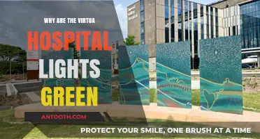 The Green Lights of Virtual Hospitals: Why This Color?