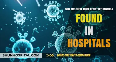 Hospital-Acquired Infections: The Rise of Resistant Bacteria Explained