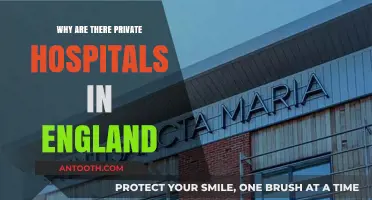 England's Private Hospitals: Why Do They Exist?