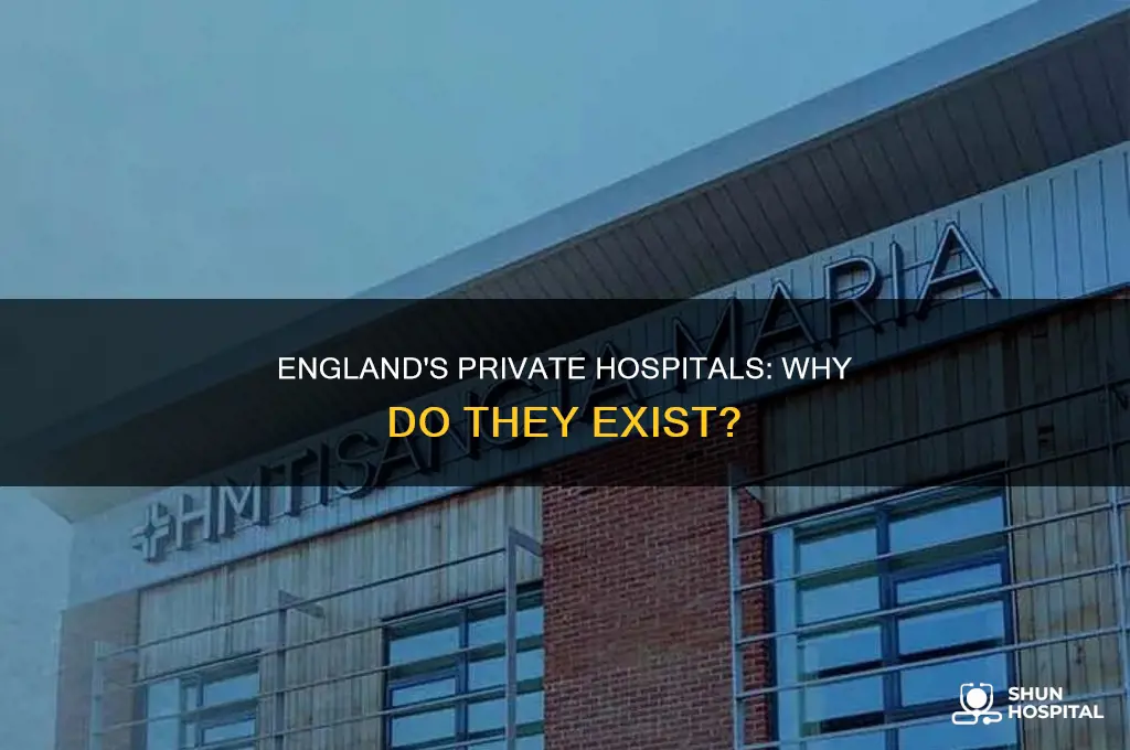 why are there private hospitals in england