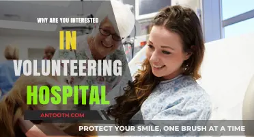 Volunteering at a Hospital: Gaining Experience, Giving Back