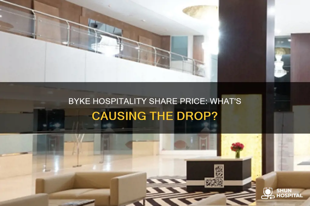 why byke hospitality share price is falling