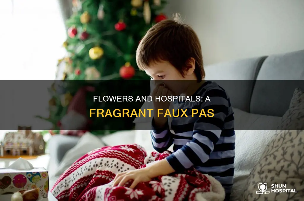 why cant youyou bring flowers to hospital