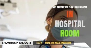 Hospital Room Restrictions: Why Flowers and Plants Are Often Banned