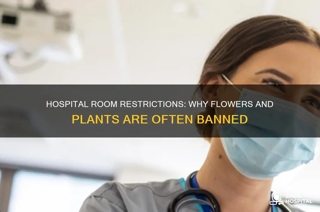 why cantyou hve flowers or 0lamts in hospital room