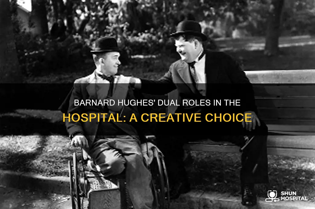 why did barnard hughes play two roles in the hospital