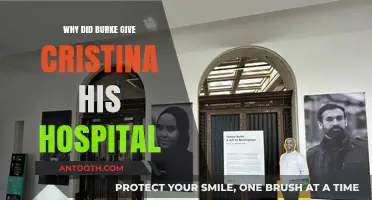 Burke's Grand Gesture: Hospital Gift to Cristina