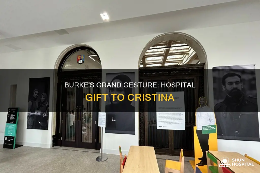 why did burke give cristina his hospital