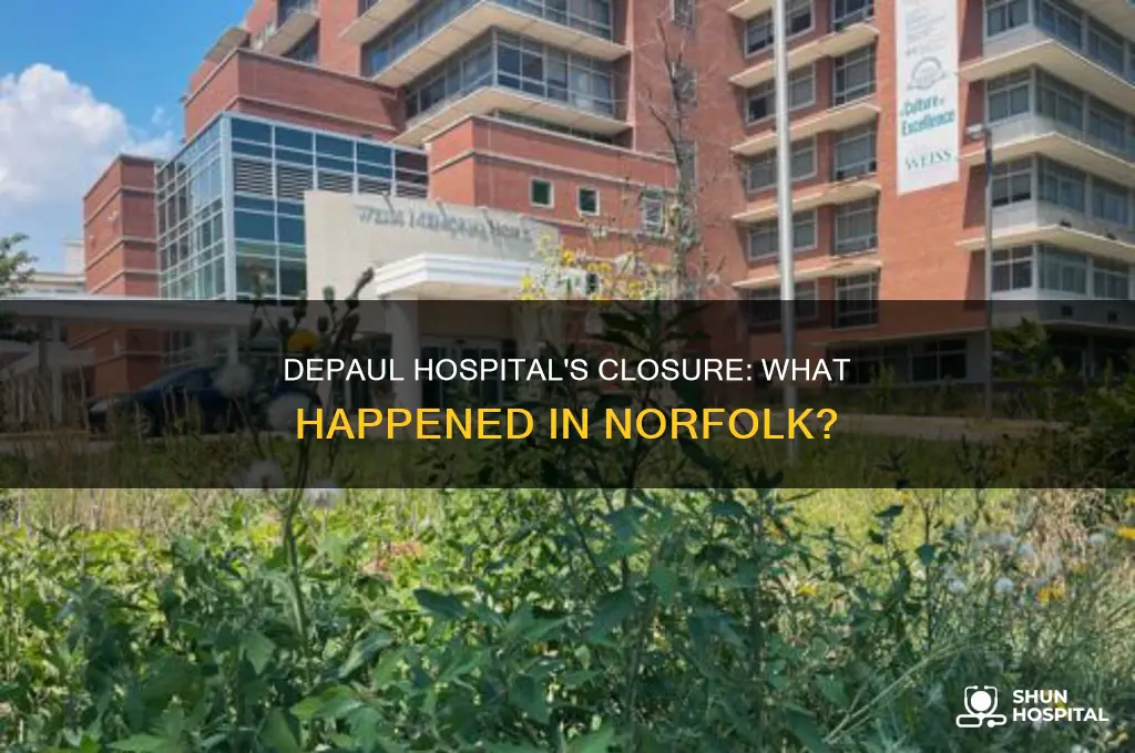 why did depaul hospital in norfolk close
