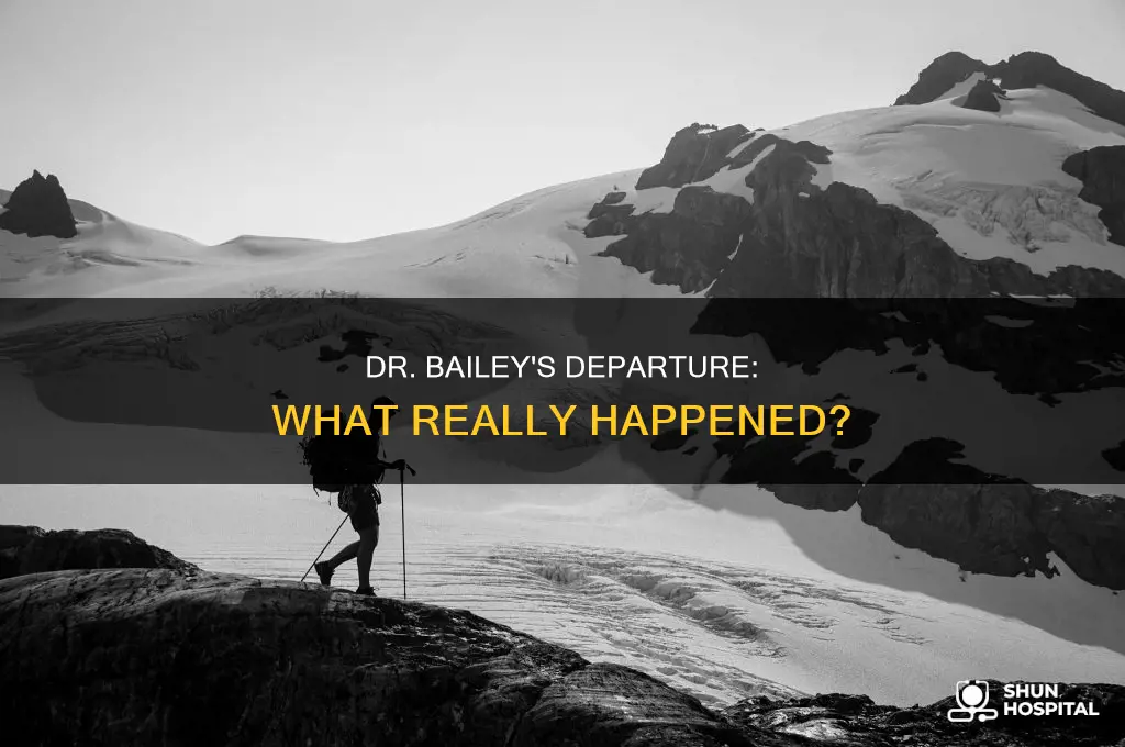 why did dr bailey leave the hospital