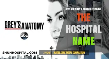 Why Grey's Anatomy Renamed Seattle Grace Hospital: The Surprising Reason