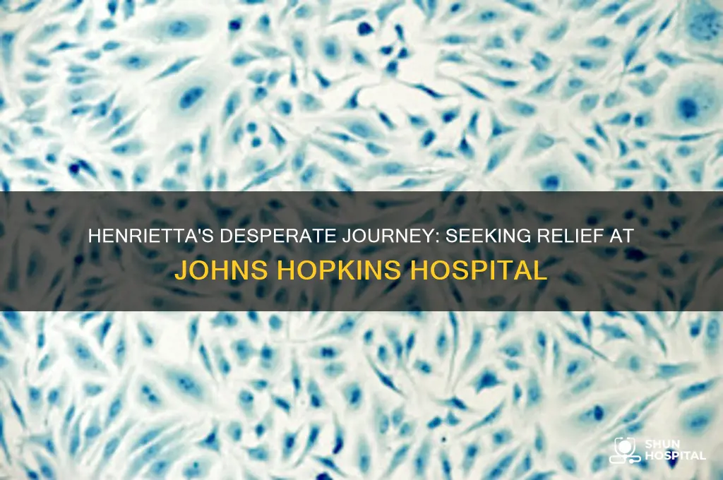 why did henrietta seek medical attention at johns hopkins hospital