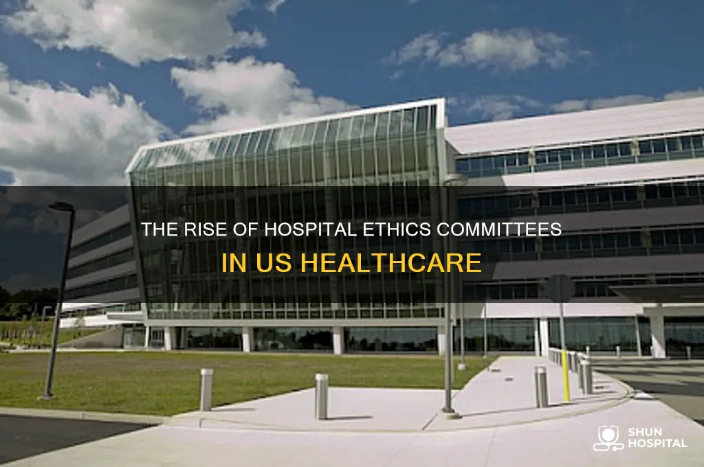 why did hospital ethics committees emerge in the us