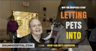 Pets in Hospitals: A Comforting Presence